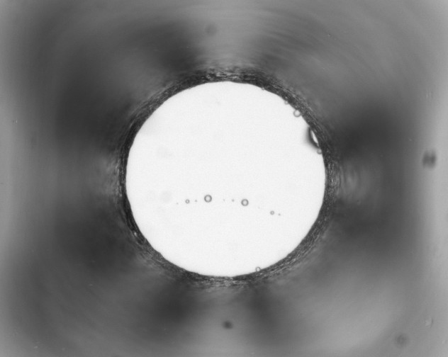 X0000103971060200809191529