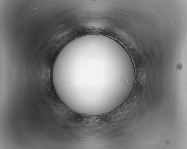 X0000103971061200809191529