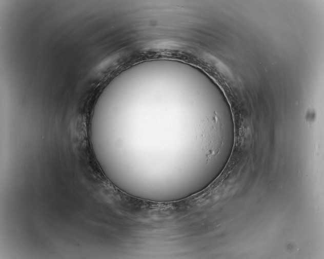 X0000103971062200809191529