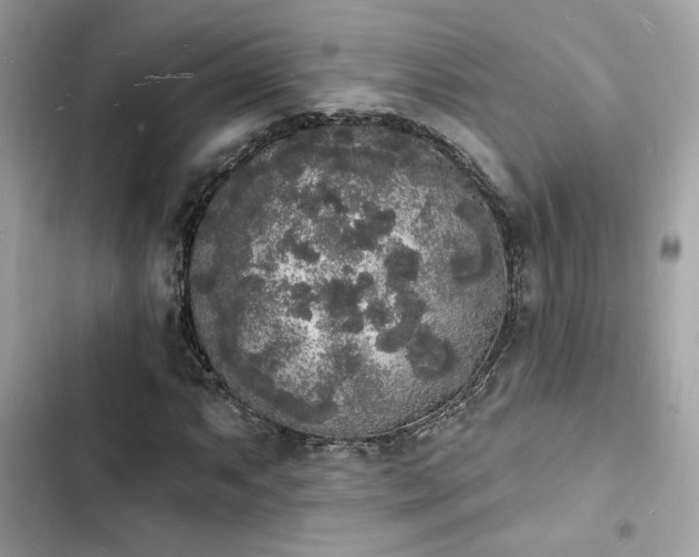 X0000103971063200809191529