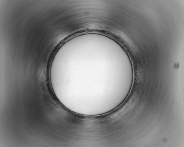 X0000103971065200809191529