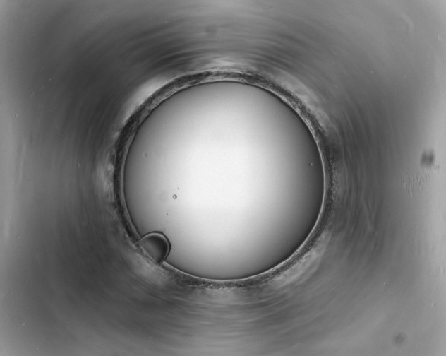 X0000103971066200809191529