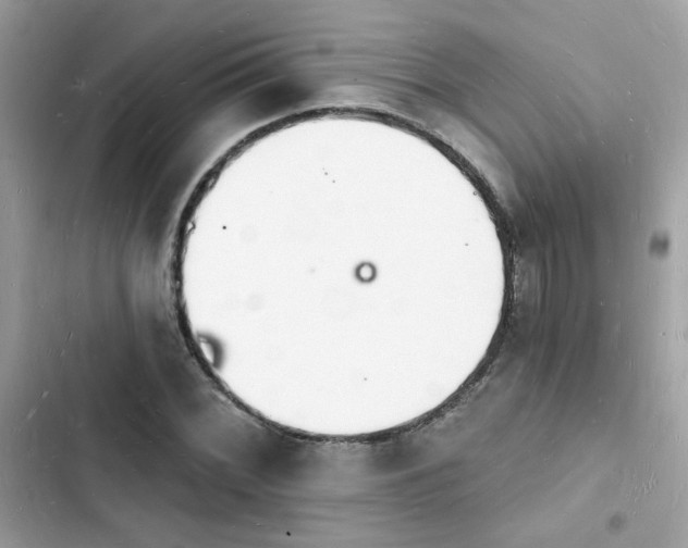 X0000103971068200809191529