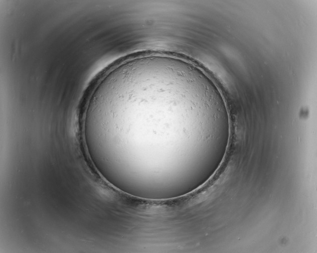 X0000103971070200809191529