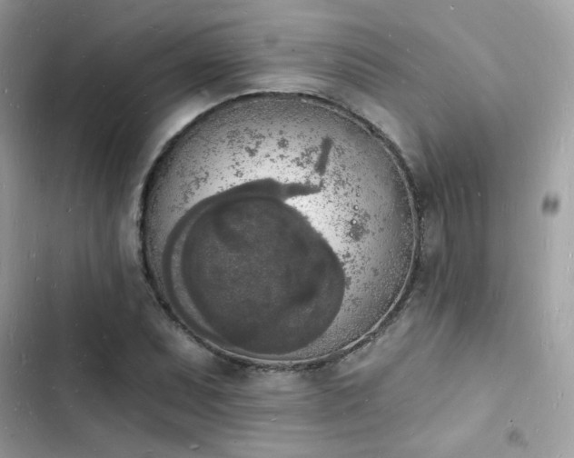 X0000103971071200809191529