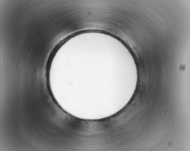 X0000103971072200809191529