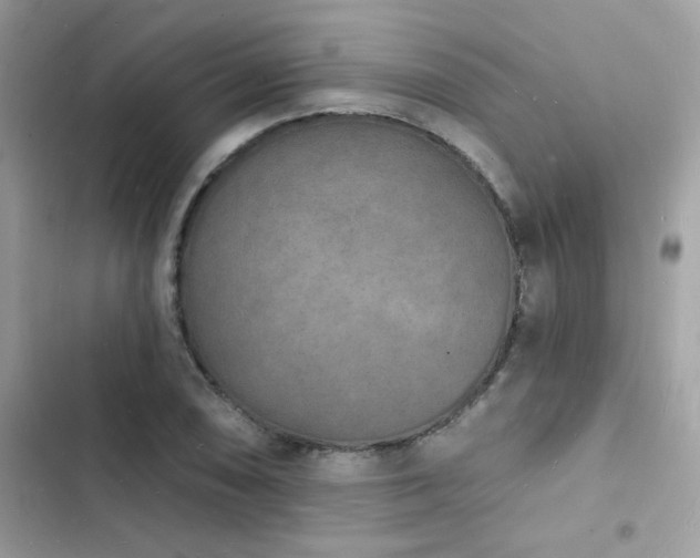 X0000103971074200809191529