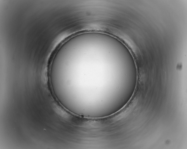 X0000103971075200809191529