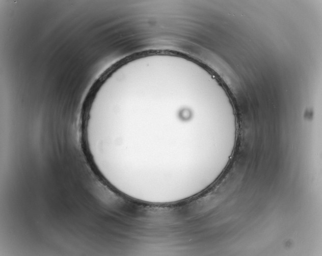 X0000103971076200809191529