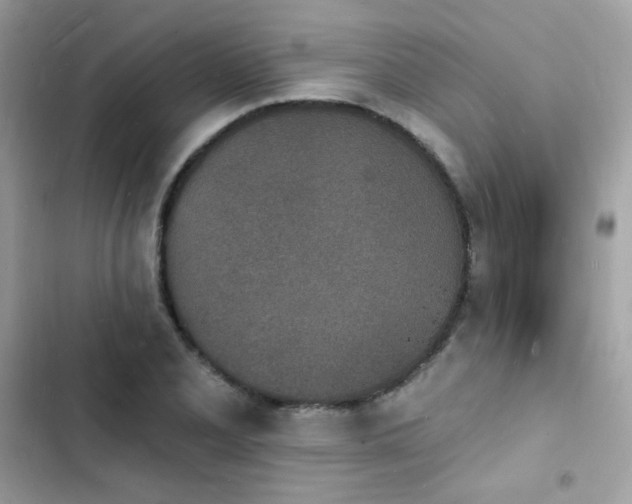 X0000103971077200809191529