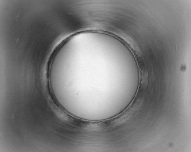 X0000103971078200809191529