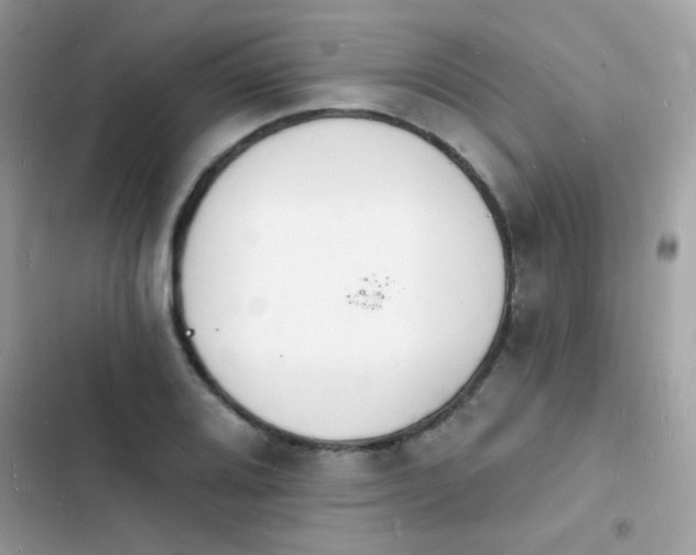 X0000103971080200809191529