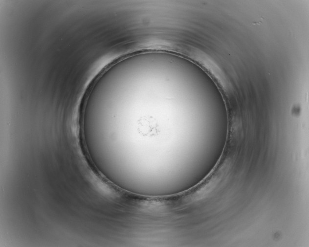 X0000103971082200809191529