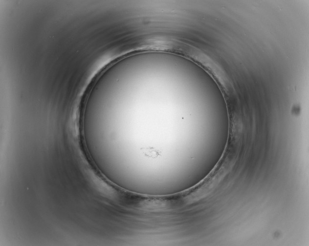 X0000103971083200809191529