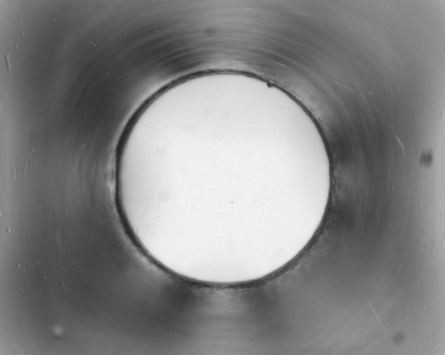 X0000103971084200809191529