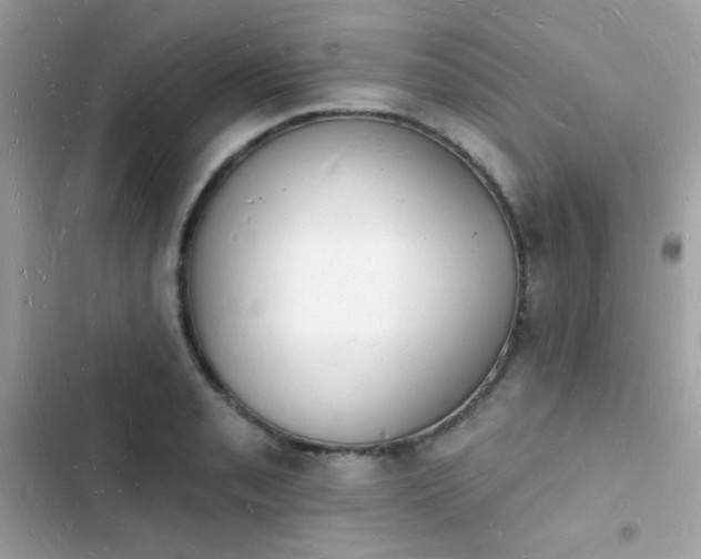 X0000103971085200809191529