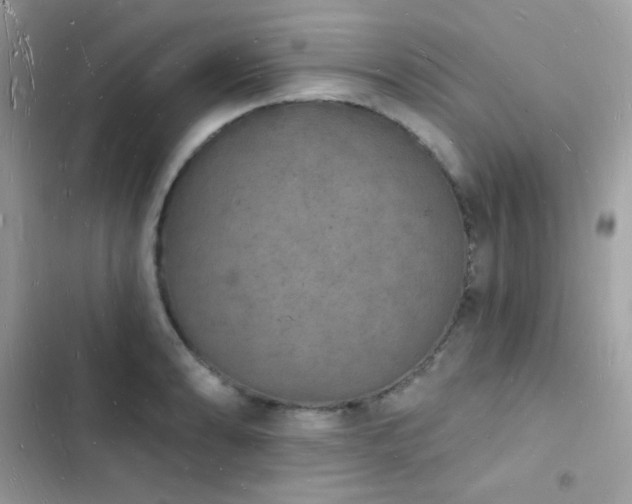 X0000103971086200809191529