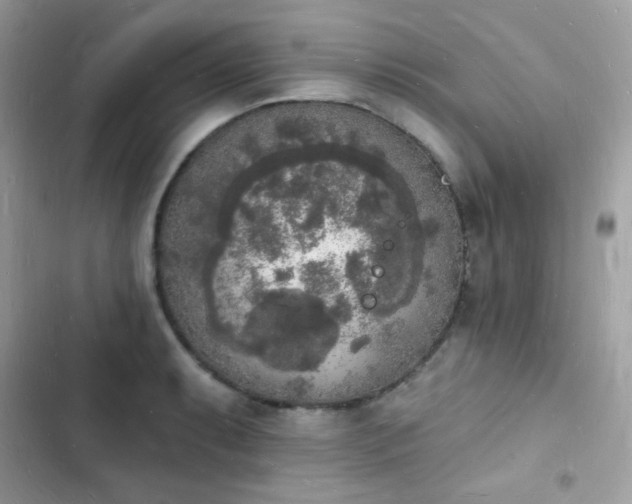 X0000103971087200809191529