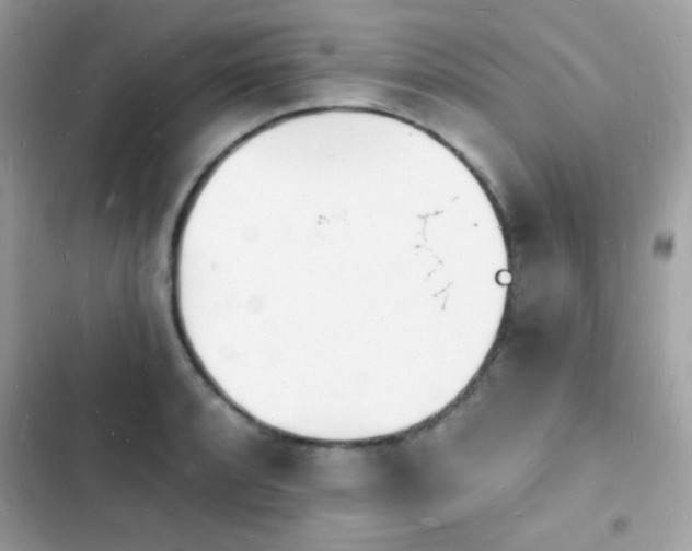 X0000103971088200809191529