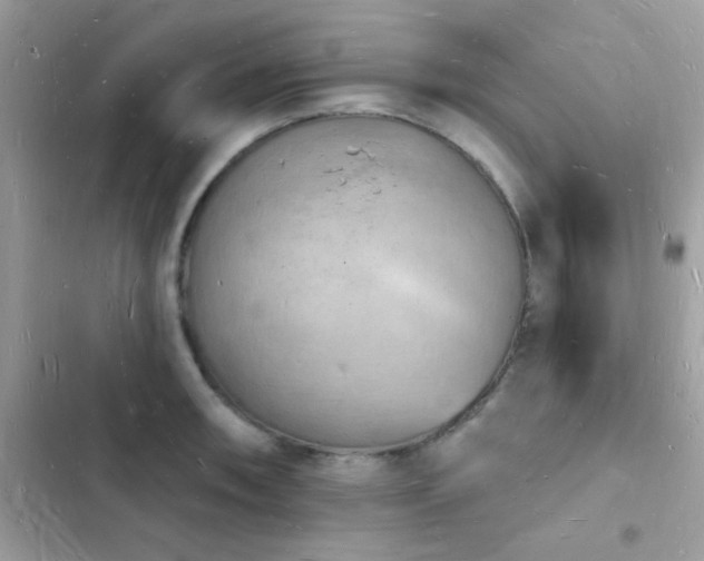 X0000103971090200809191529