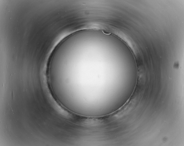 X0000103971091200809191529