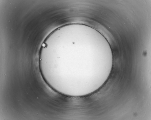 X0000103971092200809191529