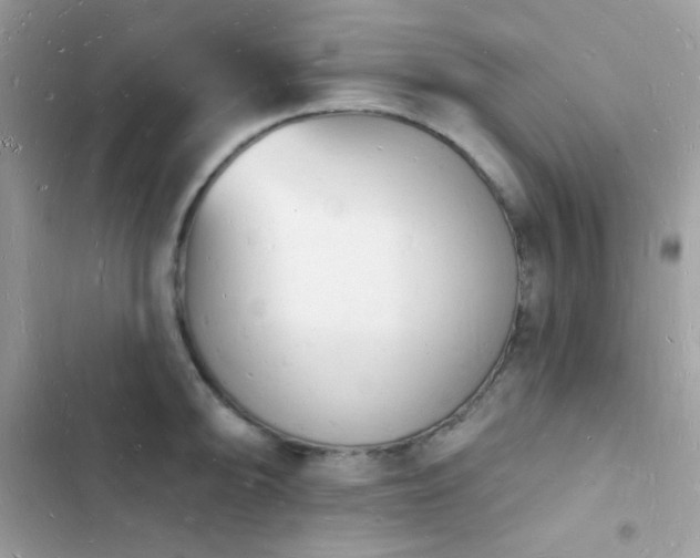 X0000103971094200809191529