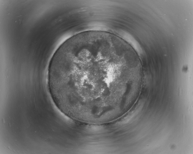 X0000103971095200809191528