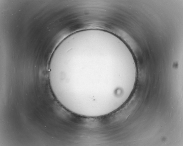 X0000103971097200809191528