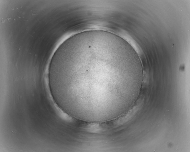 X0000103971098200809191528