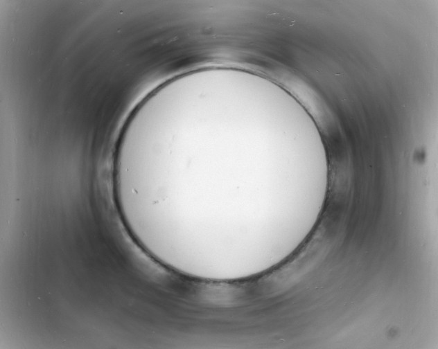 X0000103971100200809191528