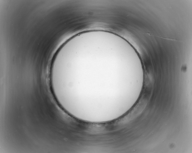 X0000103971101200809191528