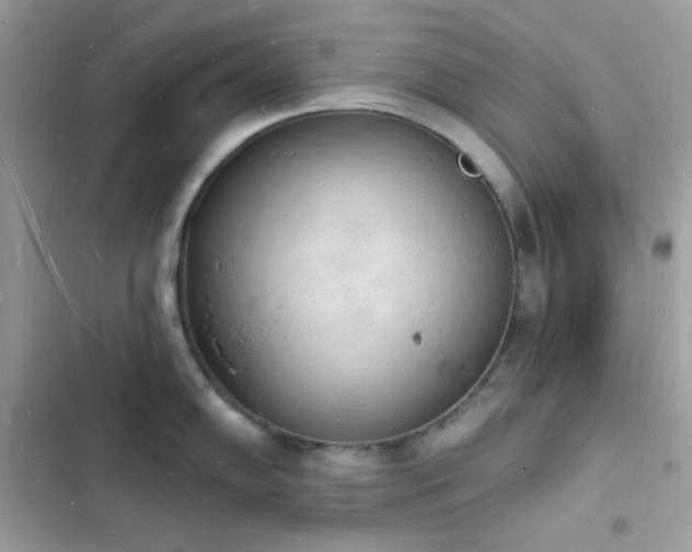 X0000103971102200809191528