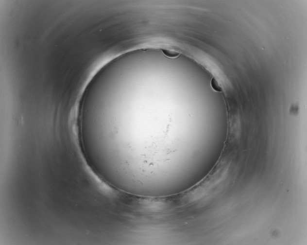 X0000103971103200809191528