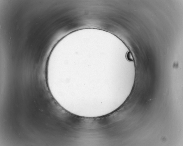 X0000103971104200809191528