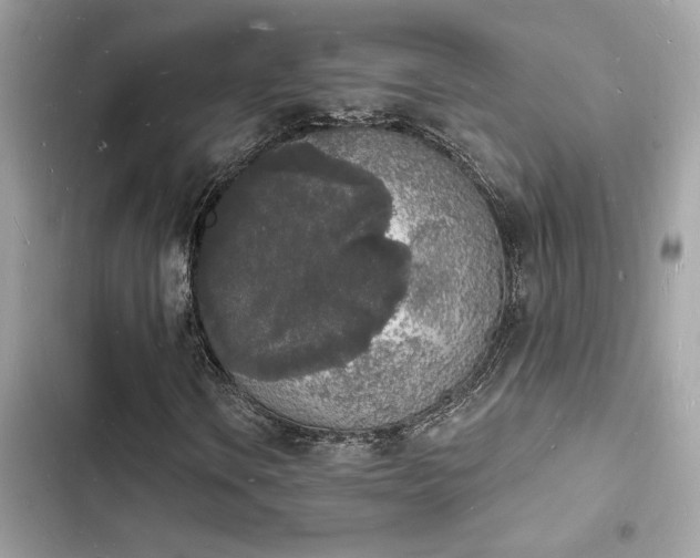 X0000103971106200809191528