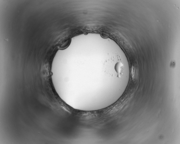 X0000103971107200809191528