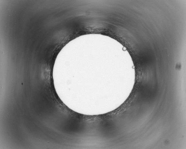 X0000103971108200809191528