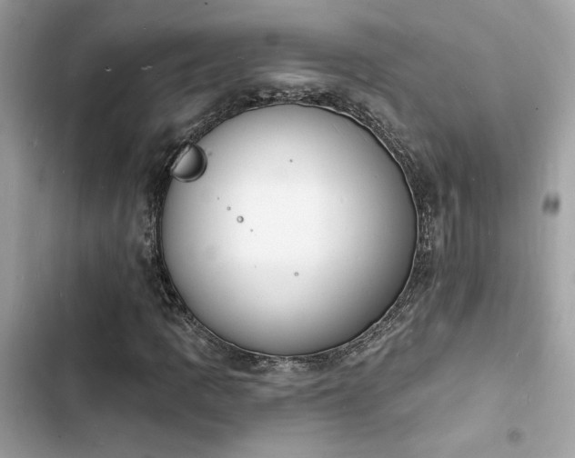 X0000103971109200809191528