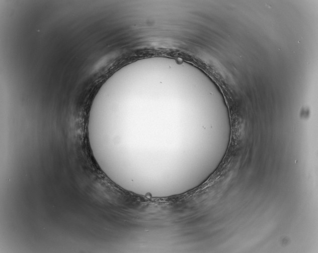 X0000103971110200809191528