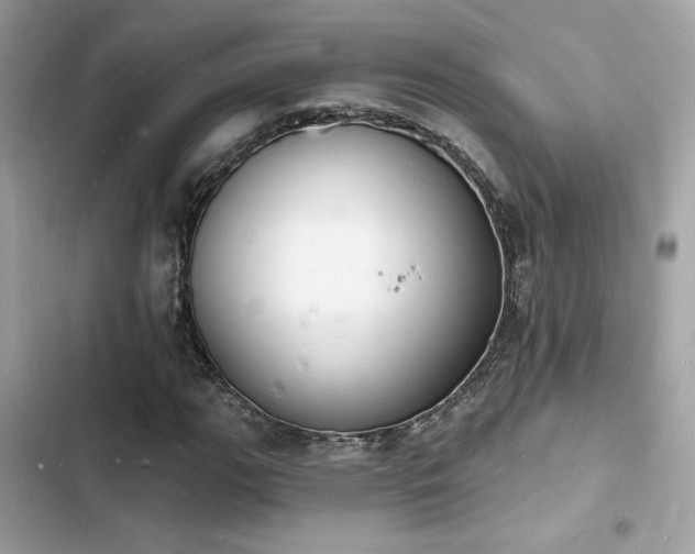 X0000103971111200809191528