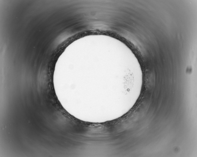 X0000103971112200809191528