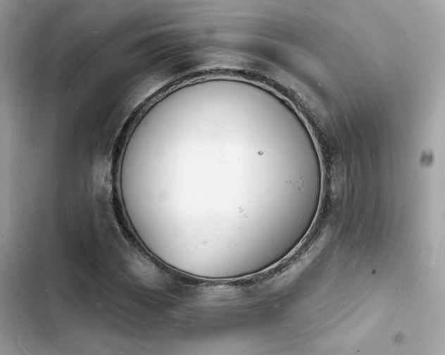 X0000103971113200809191528