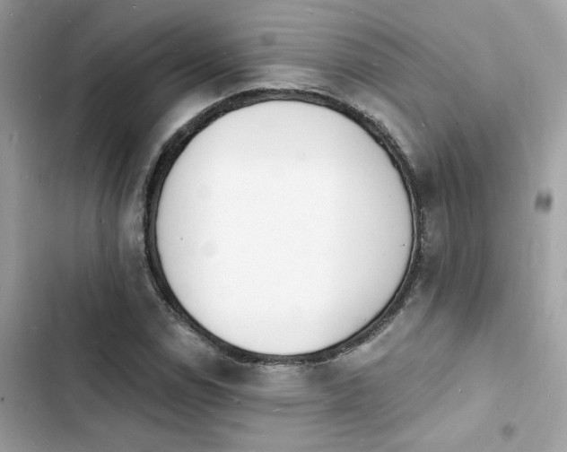 X0000103971114200809191528