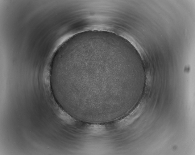 X0000103971115200809191528