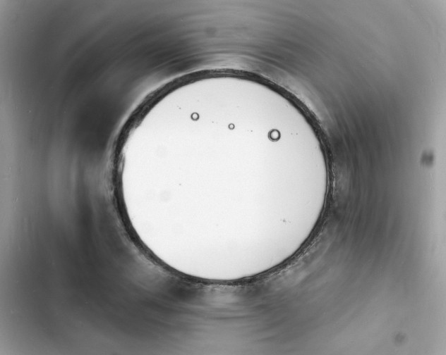 X0000103971116200809191528