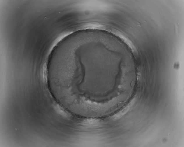 X0000103971117200809191528