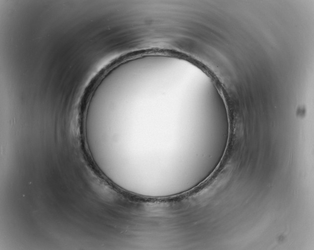 X0000103971118200809191528