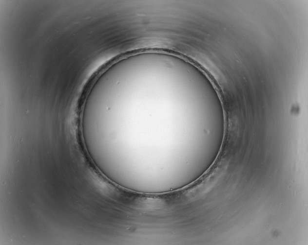 X0000103971119200809191528