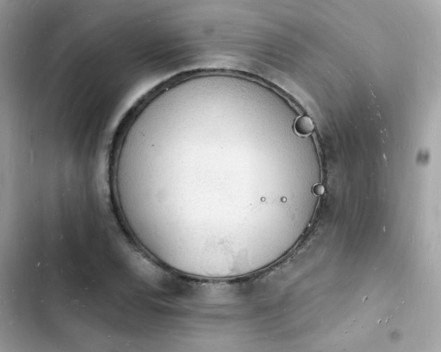 X0000103971120200809191528